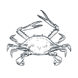Illustration of a crab with raised claws.